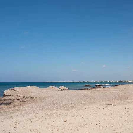 Le Meraviglie Del Mare *